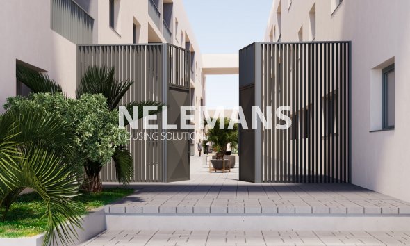 Apartment - Nouvelle construction - San Miguel de Salinas - NRE 5042