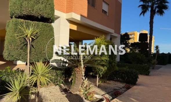 Apartment - Resale - Guardamar Del Segura - Sub 7 / Puerto