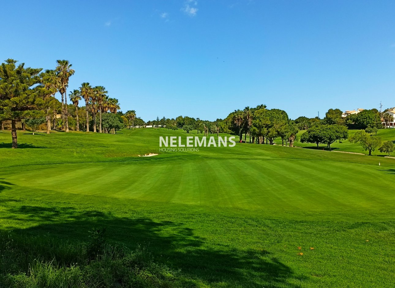 Bestaande Bouw - Appartement - Orihuela Costa - Dehesa de Campoamor