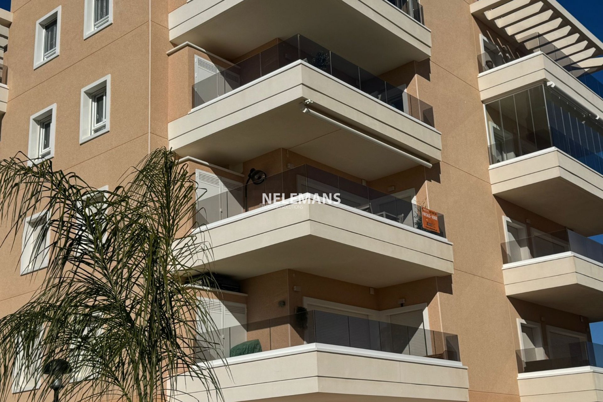 Bestehende Häuser - Apartment - Guardamar Del Segura - El Raso
