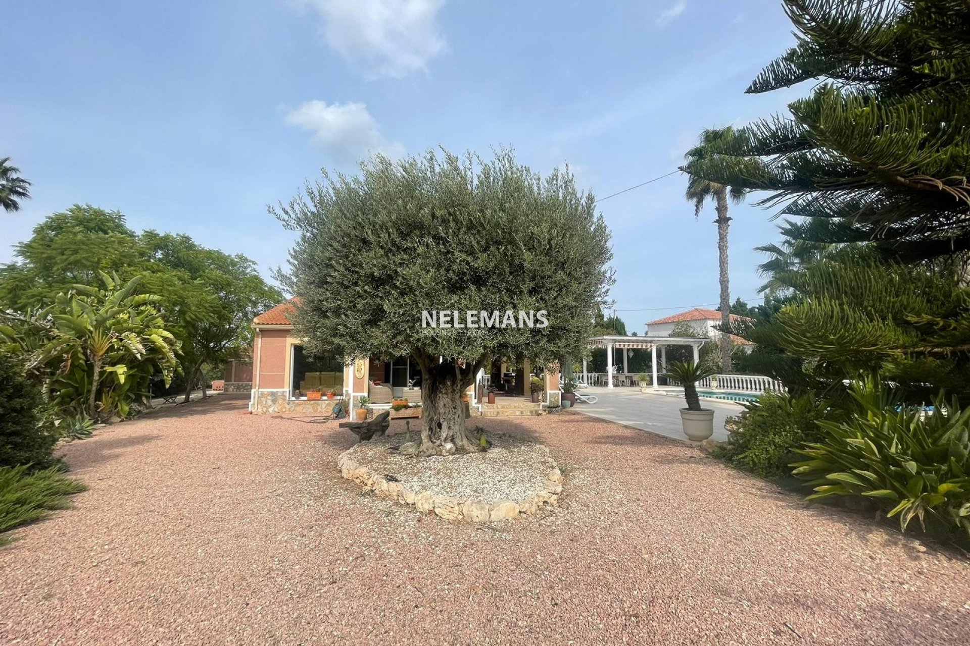 Bestehende Häuser - Country Property - Daya Vieja