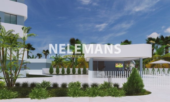 Detached Villa - Nueva construcción  - Guardamar Del Segura - El Raso