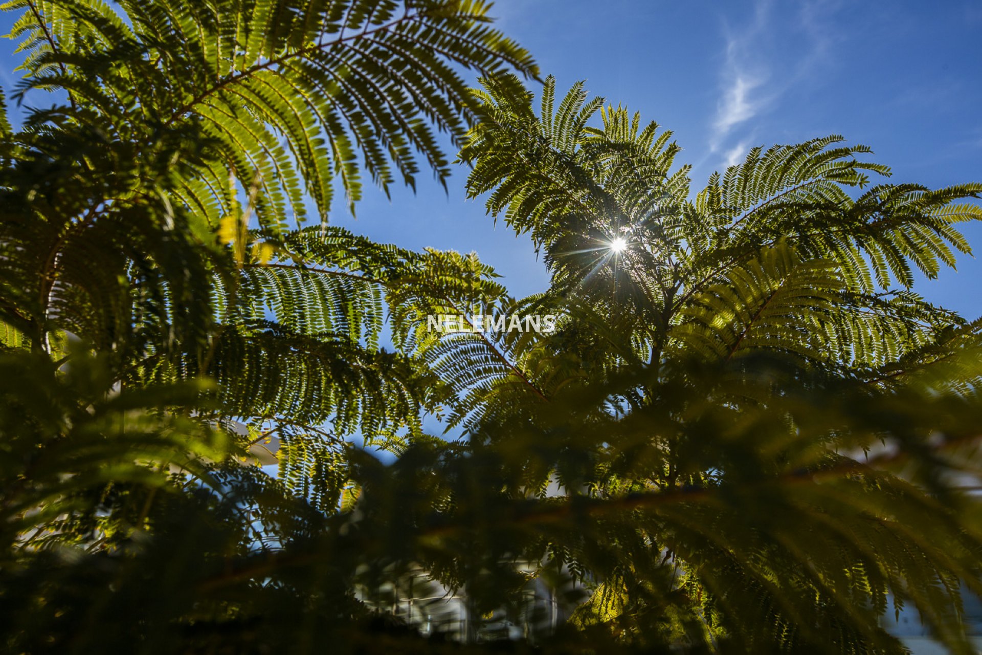 Neubau  - Apartment - Orihuela - Vistabella Golf