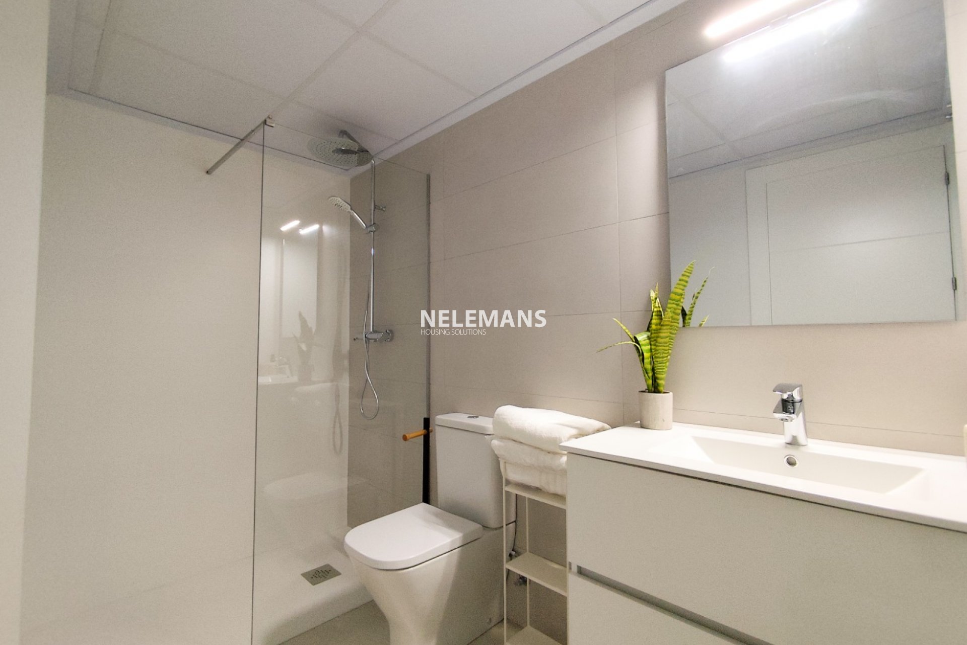 Nieuwbouw - Appartement - Cox