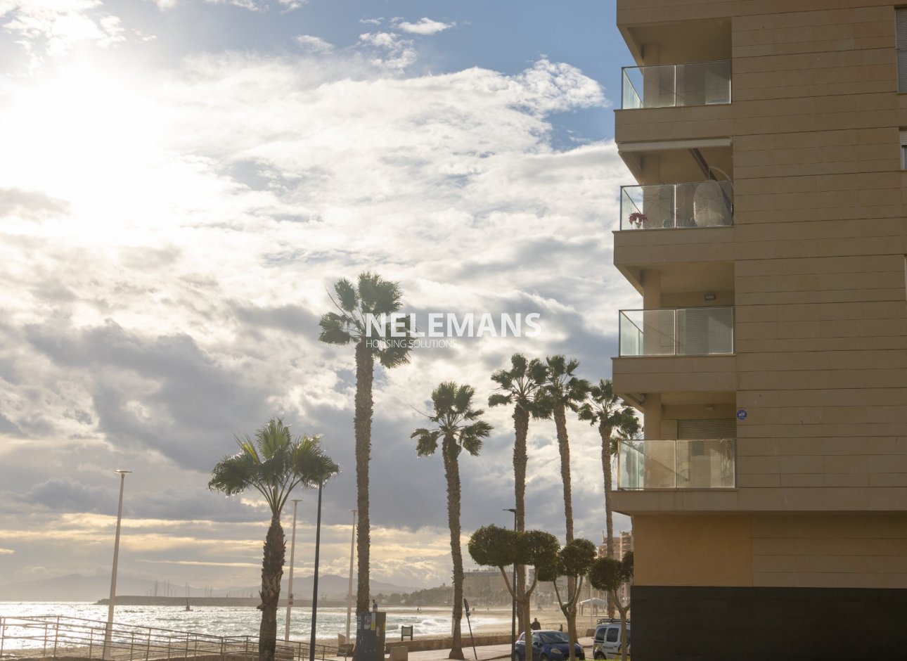 Nouvelle construction - Apartment - Águilas