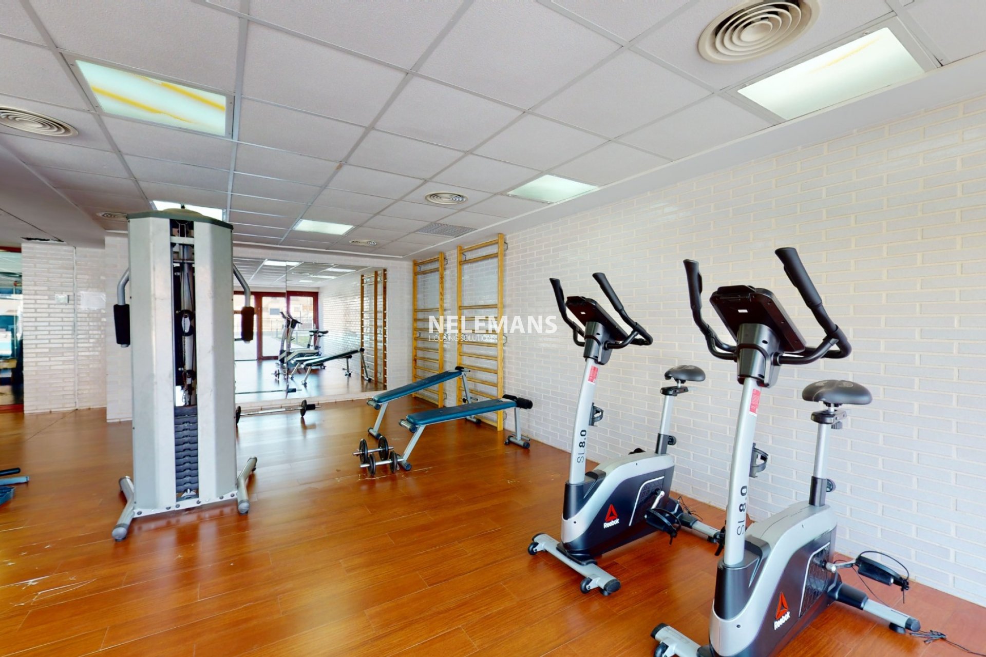 Nouvelle construction - Apartment - Villanueva del Río Segura