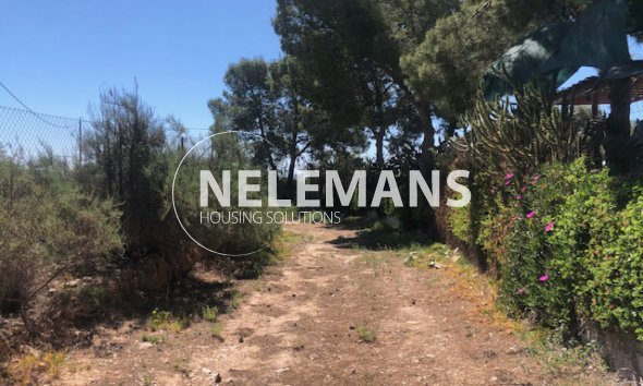 Plot of Land - Resale - Crevillente - Crevillente