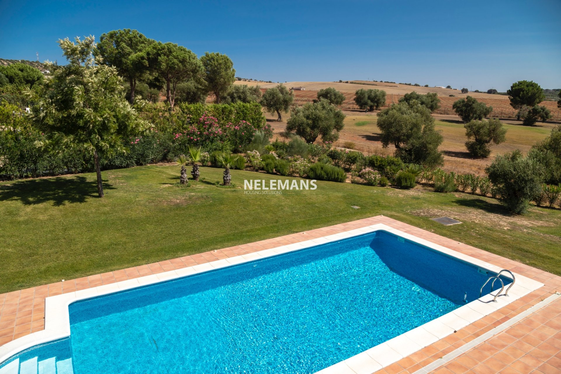 Resale - Detached Villa - Arcos de la Frontera - Andalusië