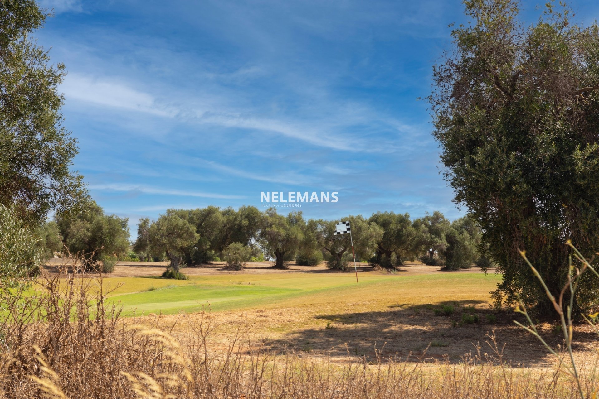 Resale - Detached Villa - Arcos de la Frontera - Andalusië