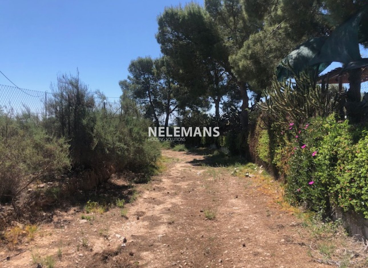 Reventa - Plot of Land - Crevillente