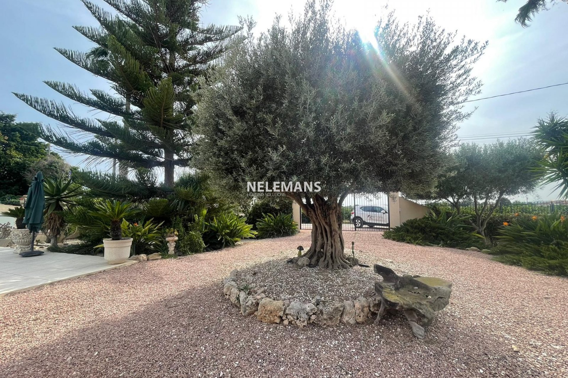 Revente - Country Property - Daya Vieja