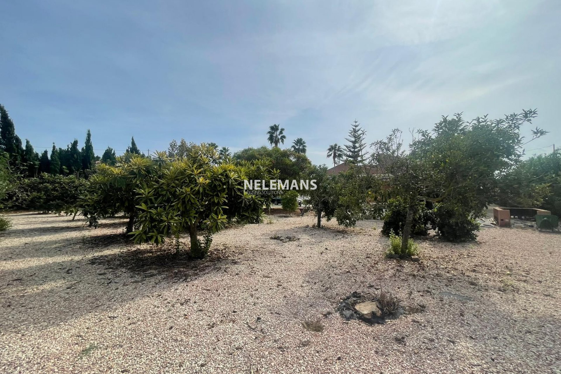 Revente - Country Property - Daya Vieja