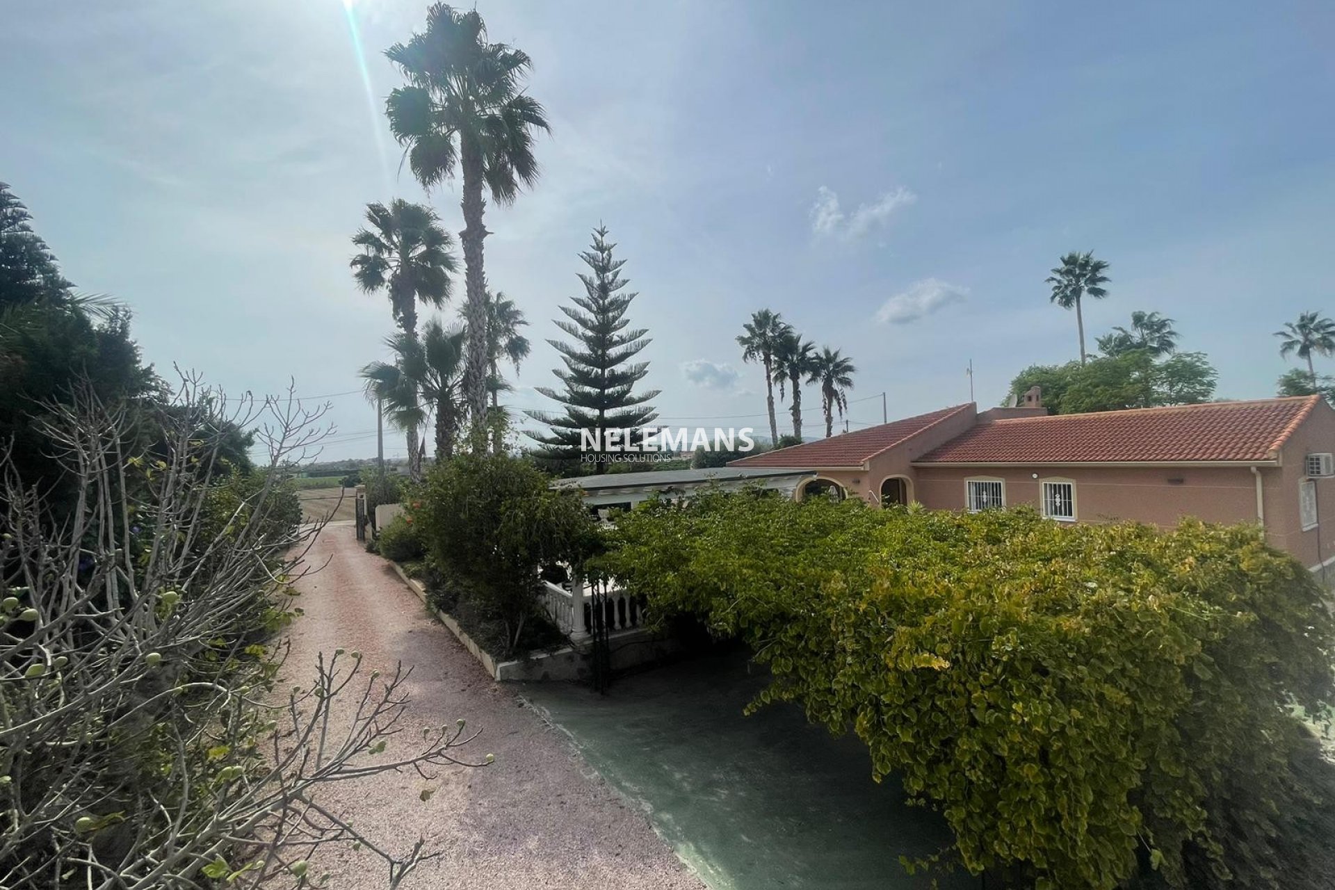 Revente - Country Property - Daya Vieja