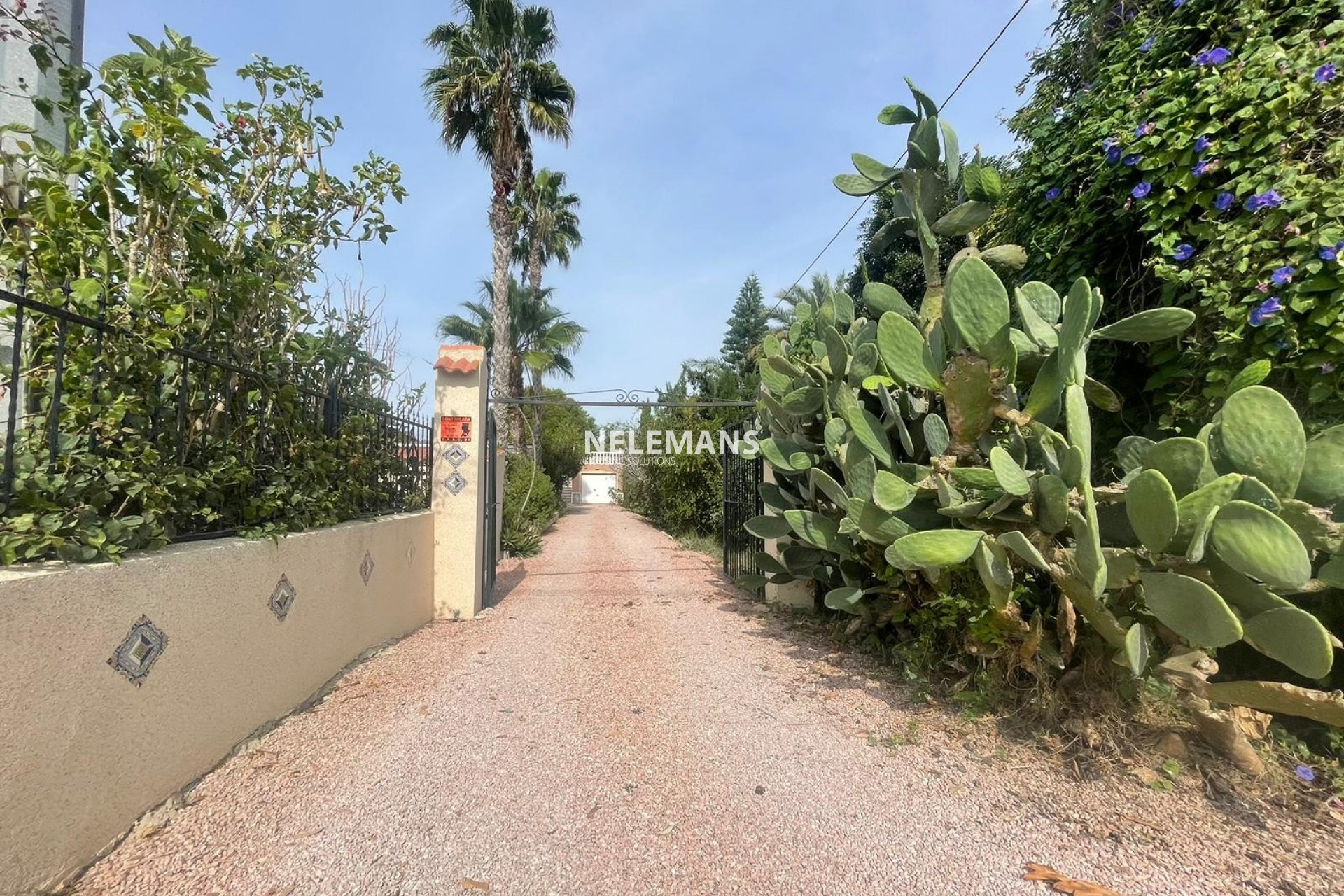 Revente - Country Property - Daya Vieja