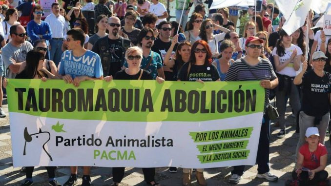 Nieuws: Heb de moed om het stiervechten te verbieden, vraagt PACMA aam de Spaanse politicy