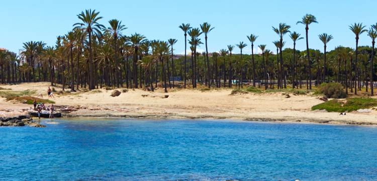 Nieuws: Cala Ferris palmstrand