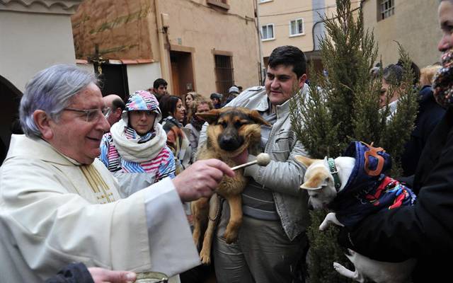 Nieuws: Día de San Antonio Abad!