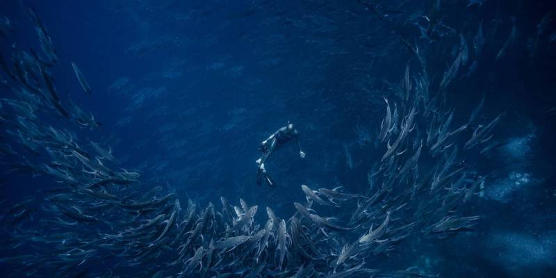 Nieuws:  De dag dat Cousteau de zuurstoftank op het schip liet