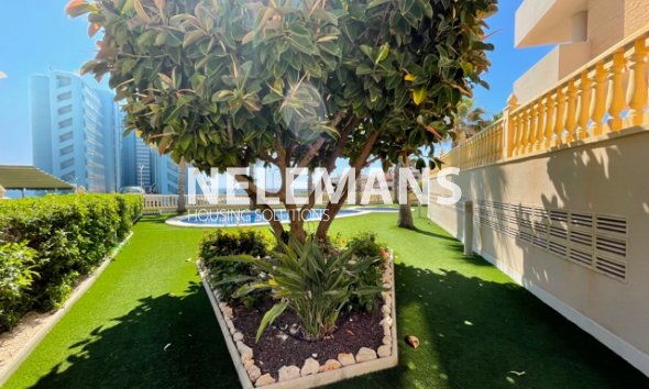 Revente - Apartment - Guardamar Del Segura - El Moncayo