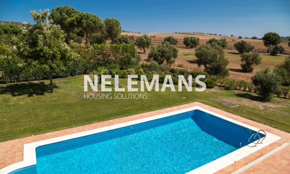 Revente - Detached Villa - Arcos de la Frontera - Andalusië