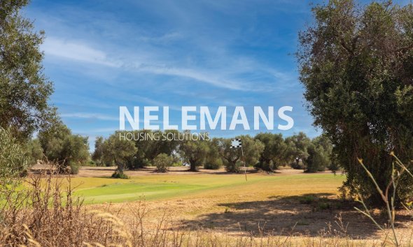 Revente - Detached Villa - Arcos de la Frontera - Andalusië