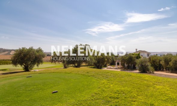 Revente - Detached Villa - Arcos de la Frontera - Andalusië