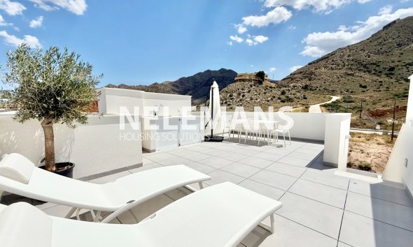 Neubau  - Semi Detached - Cox