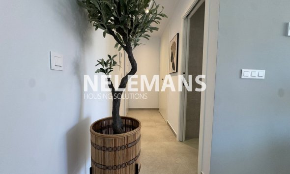 Bestaande Bouw - Appartement - Guardamar Del Segura - El Raso