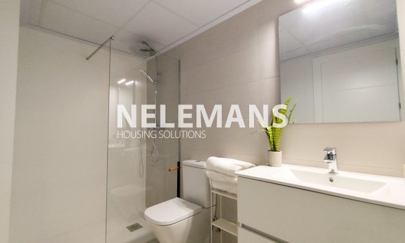 Nieuwbouw - Appartement - Cox