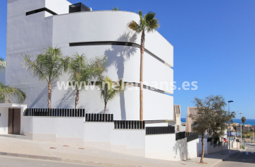 Nueva construcción  - Detached Villa - Guardamar del Segura