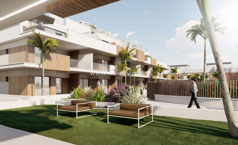Nouvelle construction - Apartment - Pilar de La Horadada