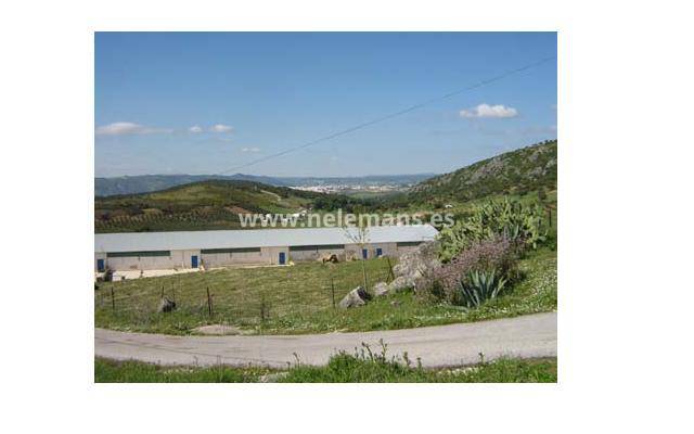 Revente - Country Property - Ronda - Andalusië