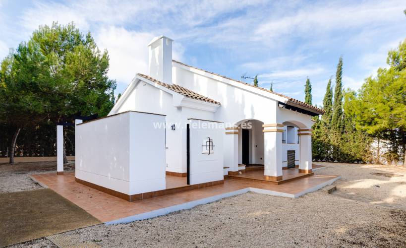 Nueva construcción  - Detached Villa - Fuente Álamo de Murcia